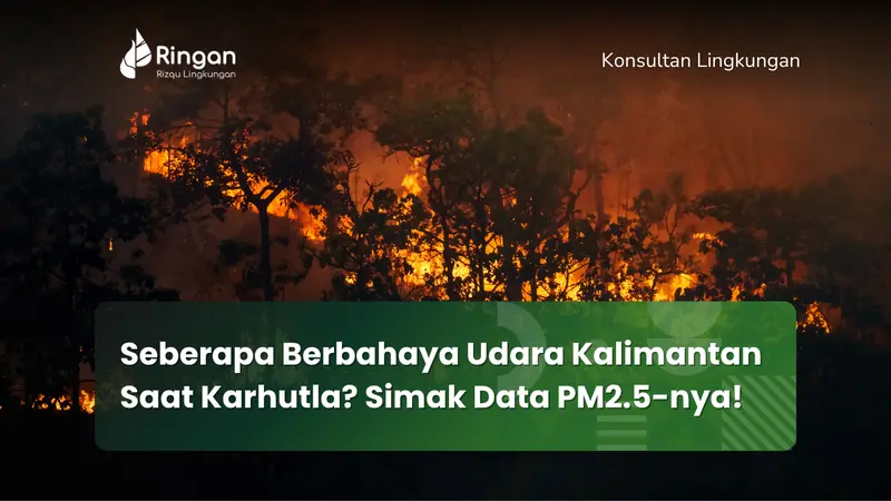 Seberapa Berbahaya Udara Kalimantan Saat Karhutla? Simak Data PM2.5-nya